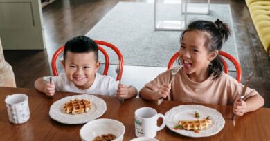 Creative Breakfast Bites for Your Family